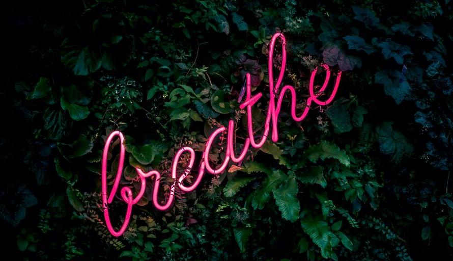 pink breathe neon sign